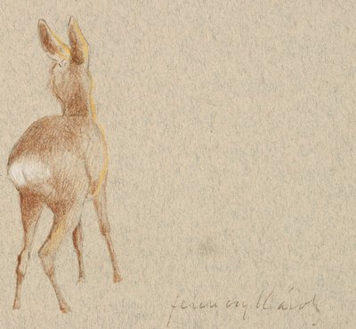 Roe Deer by Károly Ferenczy